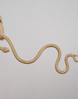 Snake Hook Necklace
